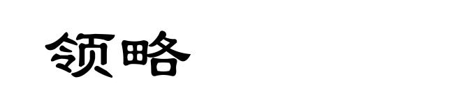 领略