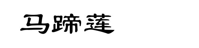马蹄莲