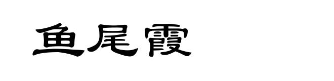 鱼尾霞