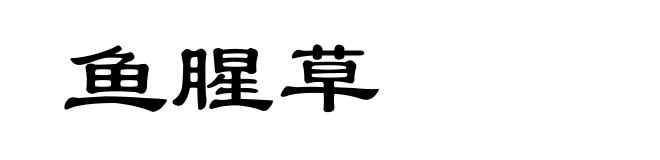 鱼腥草