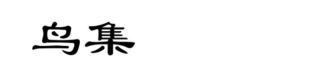 鸟集