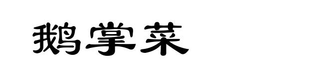 鹅掌菜