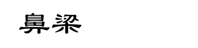 鼻梁