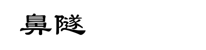 鼻隧