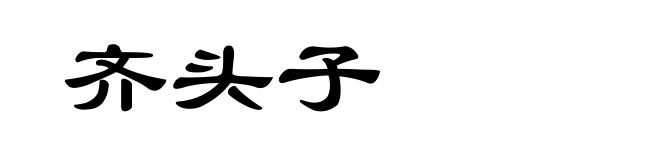 齐头子