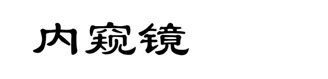内窥镜