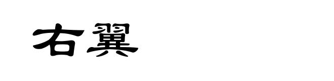 右翼