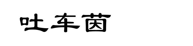 吐车茵