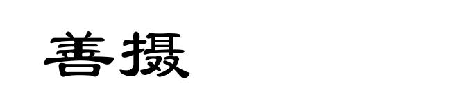善摄