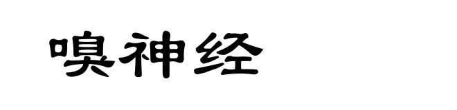 嗅神经