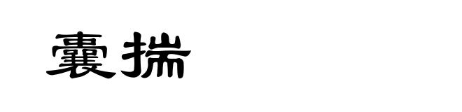 囊揣