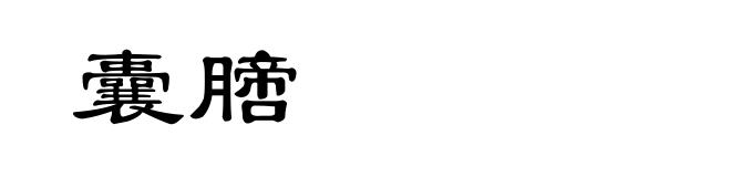 囊膪