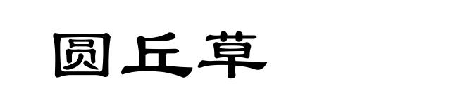 圆丘草