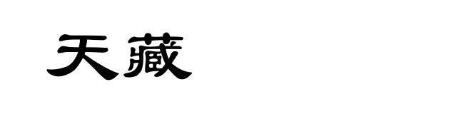 天藏