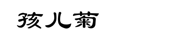 孩儿菊