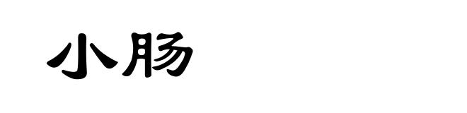 小肠