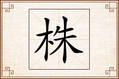 株怎么写