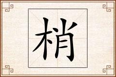 梢怎么写