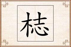 梽怎么写