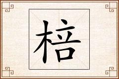 棓怎么写