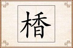 楿怎么写