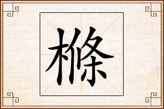 樤怎么写