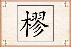 樛怎么写