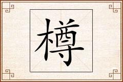 樽怎么写