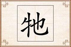 牠怎么写