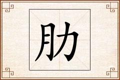 肋怎么写
