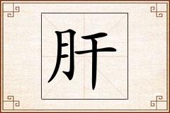肝怎么写