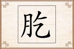 肐怎么写
