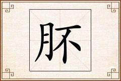 肧怎么写