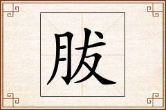 胈怎么写