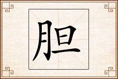 胆怎么写