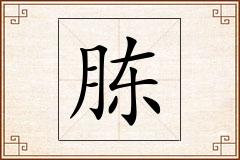 胨怎么写