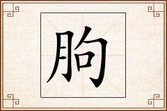 朐怎么写