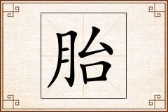 胎怎么写