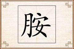 胺怎么写