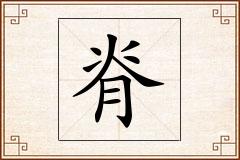 脊怎么写