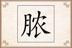 脓怎么写