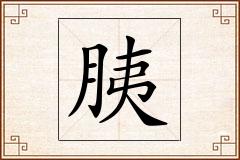 胰怎么写