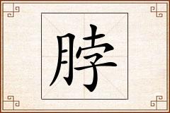 脖怎么写