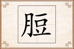 脰怎么写