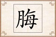 脢怎么写
