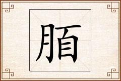脜怎么写