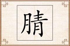 腈怎么写
