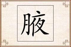 腋怎么写