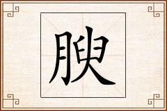腴怎么写
