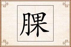 腂怎么写